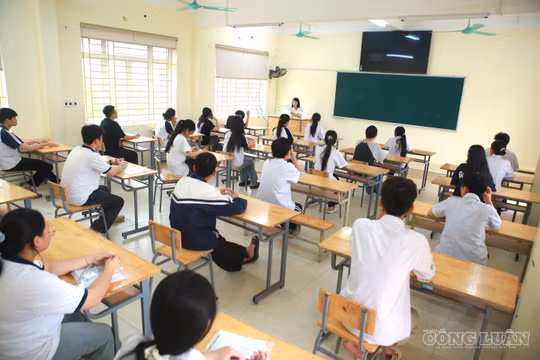 Năm đầu chấm thi môn Ngữ văn tốt nghiệp THPT bằng rubric: Những bài 'chép ý mẫu' khó đạt điểm cao