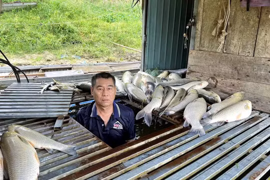Sau vụ vỡ bồn chứa 2.000 tấn mật, tạm dừng lấy nước thô từ sông Lam