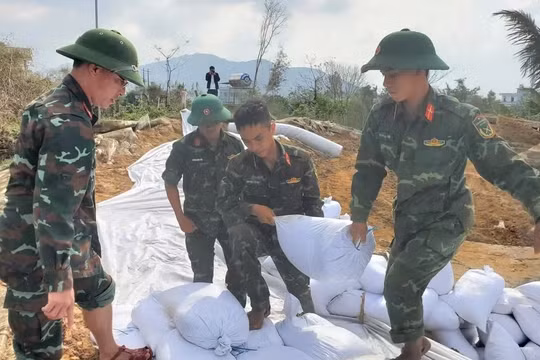 Khẩn trương gia cố đê điều trước khi bão số 1 vào vịnh Bắc Bộ