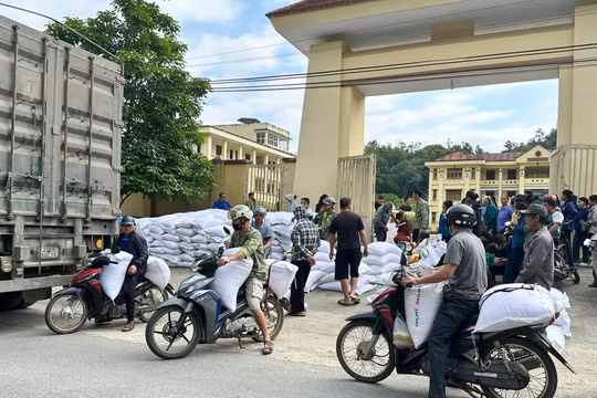 Cấp phát gần 74 tấn gạo hỗ trợ người dân tham gia bảo vệ rừng 