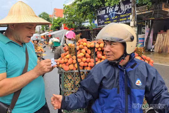 Thời tiết bất lợi, vải thiều Bắc Ninh giảm sản lượng nhưng chất lượng vượt trội