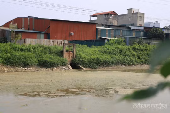 Sông Hòa Bình oằn mình dưới dòng nước thải, người dân ngột ngạt sống chung với ô nhiễm