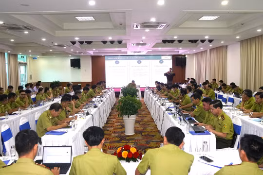 Tăng mức phạt nhiều hành vi xâm hại rừng theo Nghị định 146