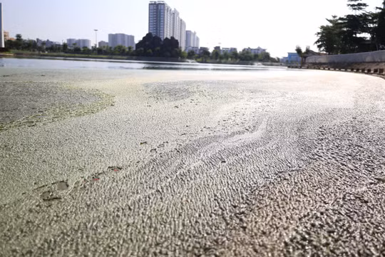 Hà Nội: Hồ điều hòa nổi váng đặc quánh, bốc mùi hôi thối