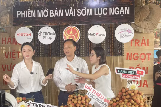 Phó Chủ tịch UBND tỉnh Bắc Ninh xuống vườn livestream bán vải thiều
