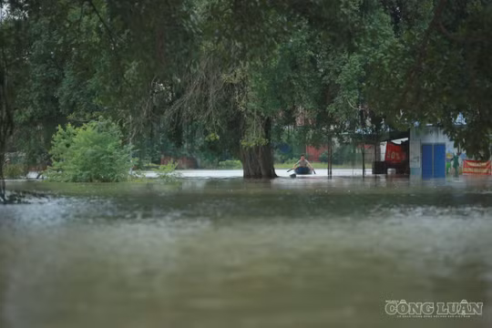 Mưa lớn kéo dài, cảnh báo lũ trên các sông từ Thanh Hóa đến Đà Nẵng