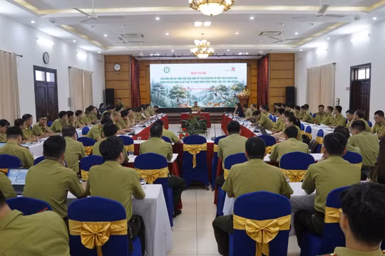 Tăng chế tài xử phạt, siết chặt bảo vệ rừng và động vật hoang dã