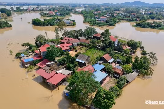 Hơn 12.000 vụ vi phạm đê điều chưa được xử lý dứt điểm