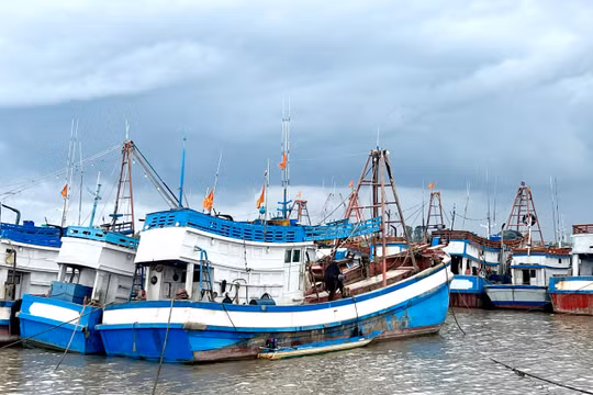 Cà Mau mở đợt cao điểm chống khai thác IUU