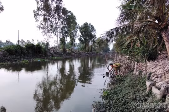 Cà Mau: Chủ động ứng phó hạn hán, xâm nhập mặn do ảnh hưởng El Nino