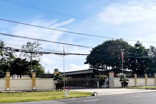 Cần Thơ hỗ trợ chuyển đổi số cho doanh nghiệp vừa và nhỏ