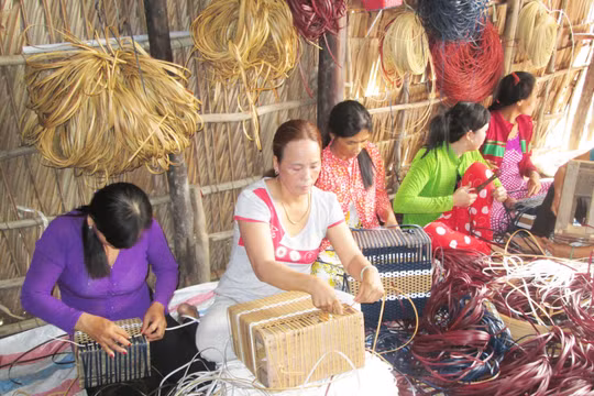 Cần Thơ đặt mục tiêu giảm tỷ lệ lao động nông nghiệp còn 36,15% vào năm 2030