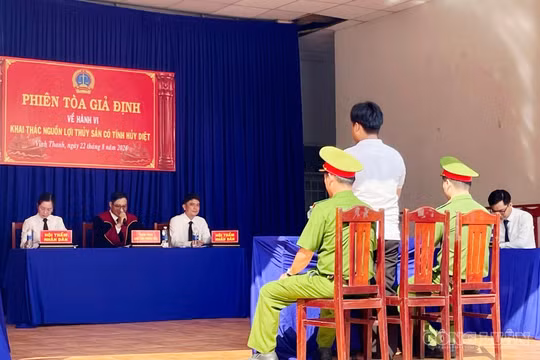 Cà Mau: Phiên tòa giả định cảnh báo hành vi hủy hoại nguồn lợi thủy sản