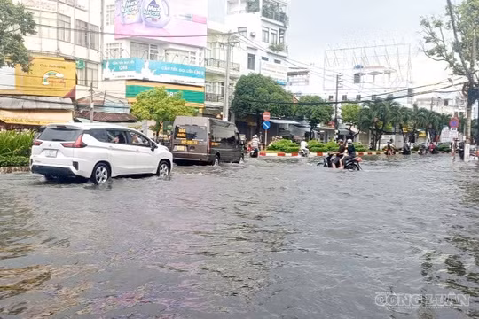 Cà Mau: Cảnh báo mưa to, nguy cơ ngập úng cục bộ