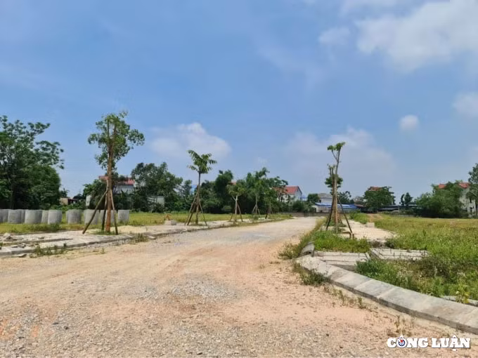 ha noi manh tay xu ly thu hoi dat doi voi truong hop chay y no thue hoac bo hoang hinh 1