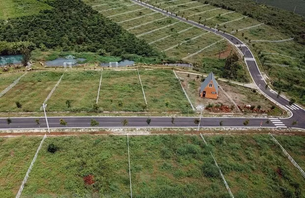 dong xoai hoa toc tam dung tach thua dat nong nghiep cho chi dao cua tinh binh phuoc hinh 1