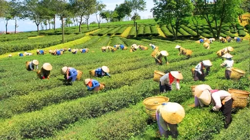 day nhanh tien do xay dung cac de an phat trien kinh te xa hoi vung dong bao dan toc thieu so hinh 1