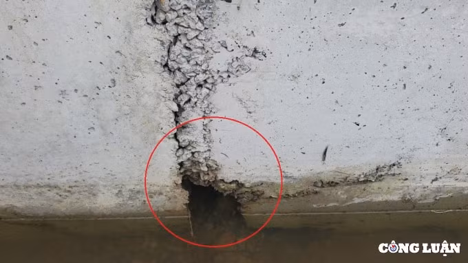 hai duong ubnd xa dong lac lien tuc moi thau trai quy dinh hinh 5