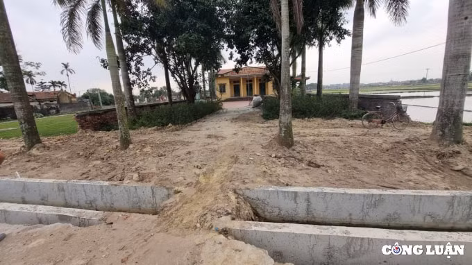 hai duong ubnd xa dong lac lien tuc moi thau trai quy dinh hinh 3