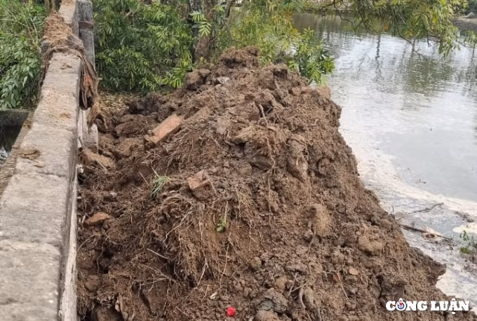 hai duong ubnd xa dong lac lien tuc moi thau trai quy dinh hinh 7