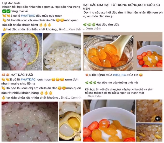hat dac xuong pho nguoi dan san lung rao riet hinh 2