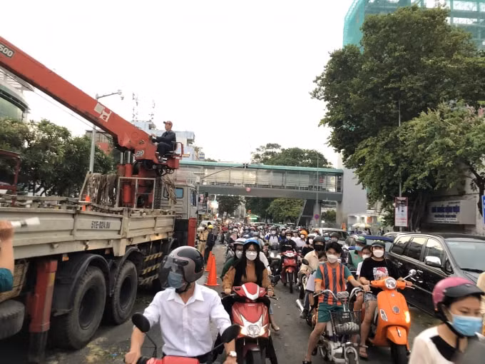 tp hcm giong lon cay da khong lo bat goc khien nhieu nguoi bo chay tan loan hinh 5