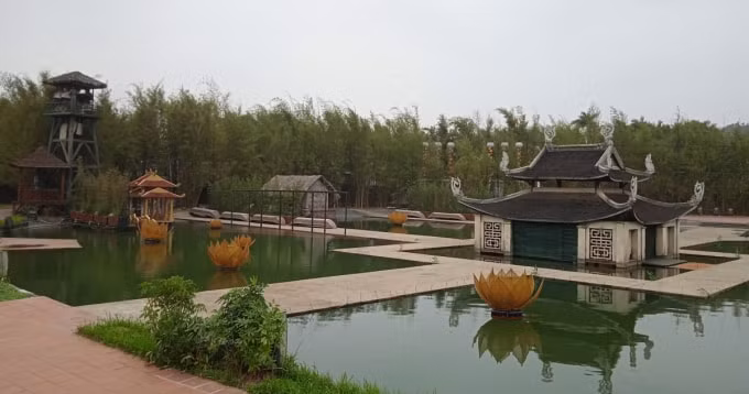 tinh hoa bac bo tro lai co loi hai hon xua hinh 1