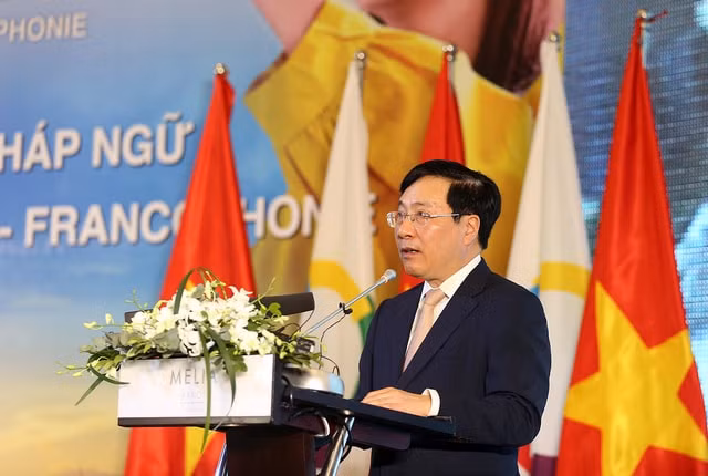 viet nam ung ho manh me hop tac phat trien kinh te trong khong gian phap ngu hinh 1