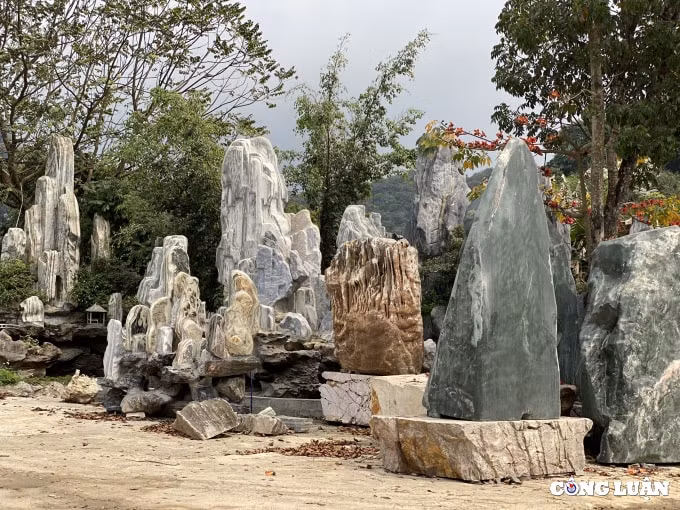 nhoc nhan nghe tao hinh cho da hinh 3