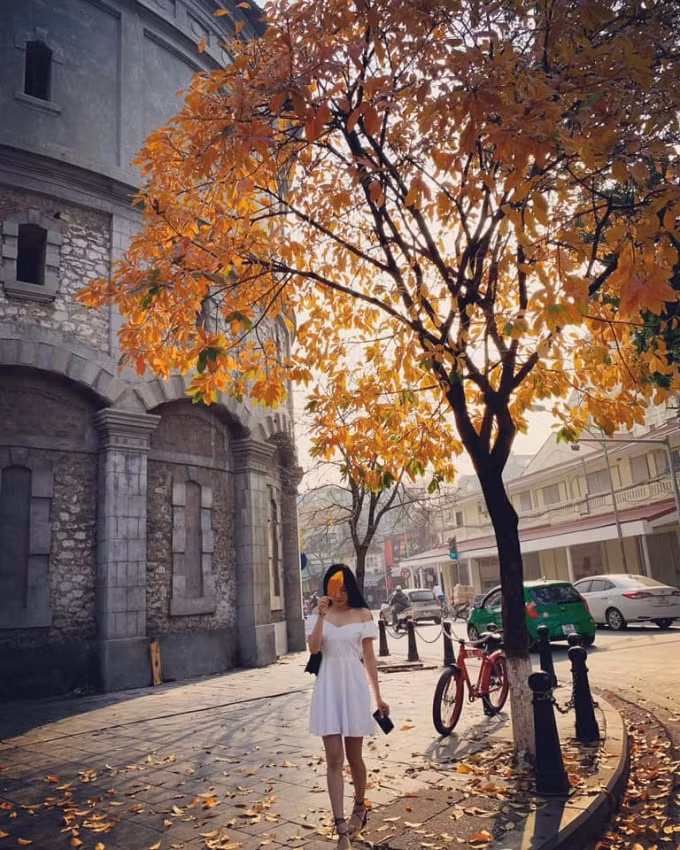 nhung dia diem check in sieu hot tai ha noi thang 3 hinh 6