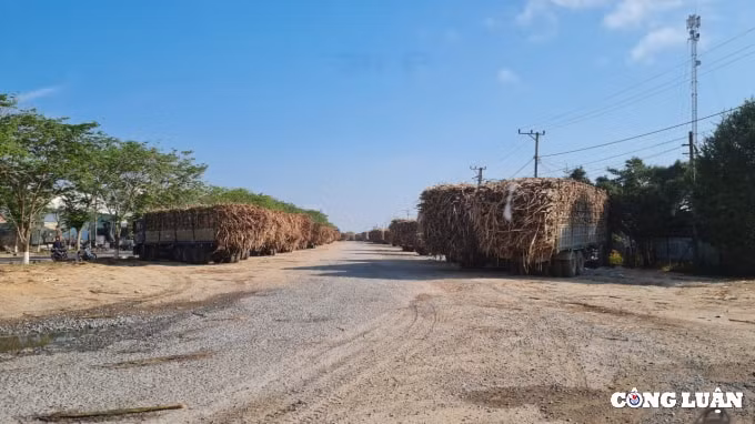 gia lai xe qua tai tung hoanh khap cac tuyen duong quoc lo hinh 9