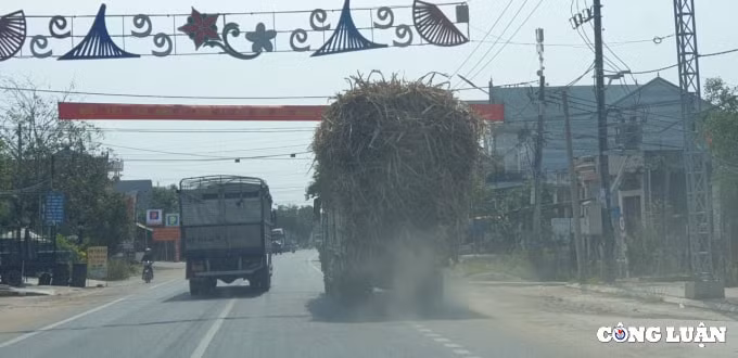 gia lai xe qua tai tung hoanh khap cac tuyen duong quoc lo hinh 15