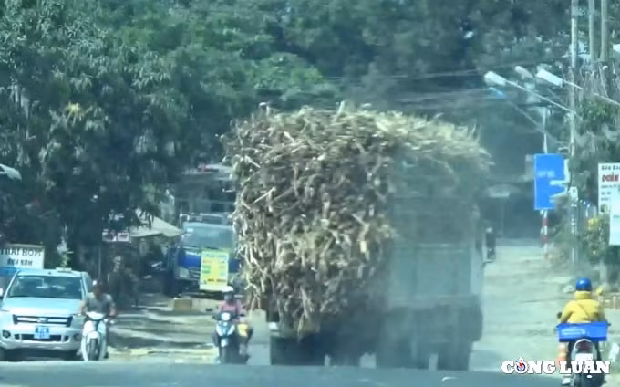 gia lai xe qua tai tung hoanh khap cac tuyen duong quoc lo hinh 13