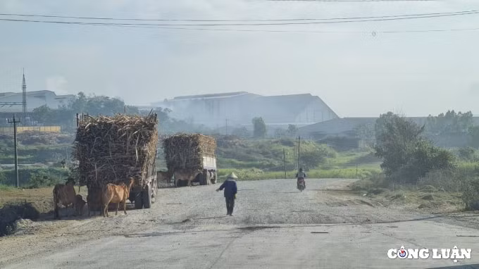 gia lai xe qua tai tung hoanh khap cac tuyen duong quoc lo hinh 11
