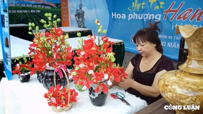 hai phong mo cuoc thi sang tac bieu tuong cho thanh pho tong giai thuong 700 trieu dong hinh 1