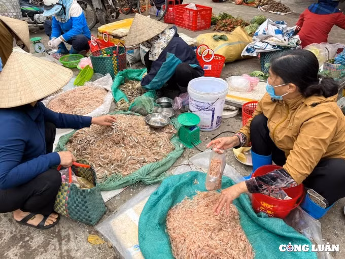 dat muc tieu tang gia tri cho nganh khai thac thuy san hinh 2