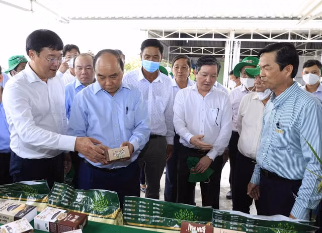 chu tich nuoc nguyen xuan phuc tham mot so mo hinh kinh te hop tac tai dong thap hinh 1
