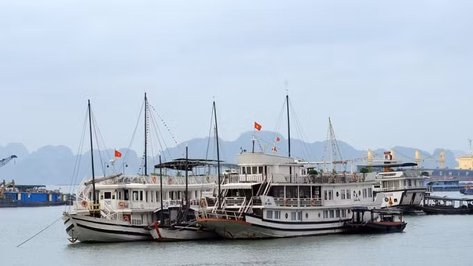 Trái ngược với vận tải hàng hóa, vận tải hành khách qua các cảng biển thiếu ổn định, tăng giảm thất thường. Ảnh minh họa