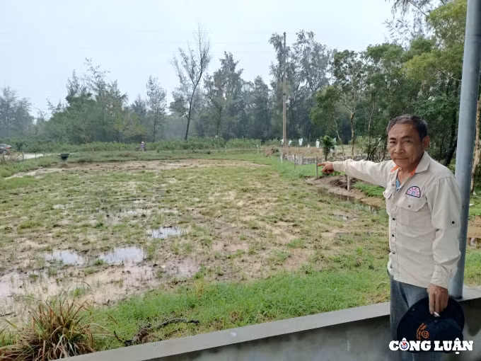 huyen cam xuyen ha tinh yeu cau xa yen hoa giai quyet dut diem vu viec hinh 2