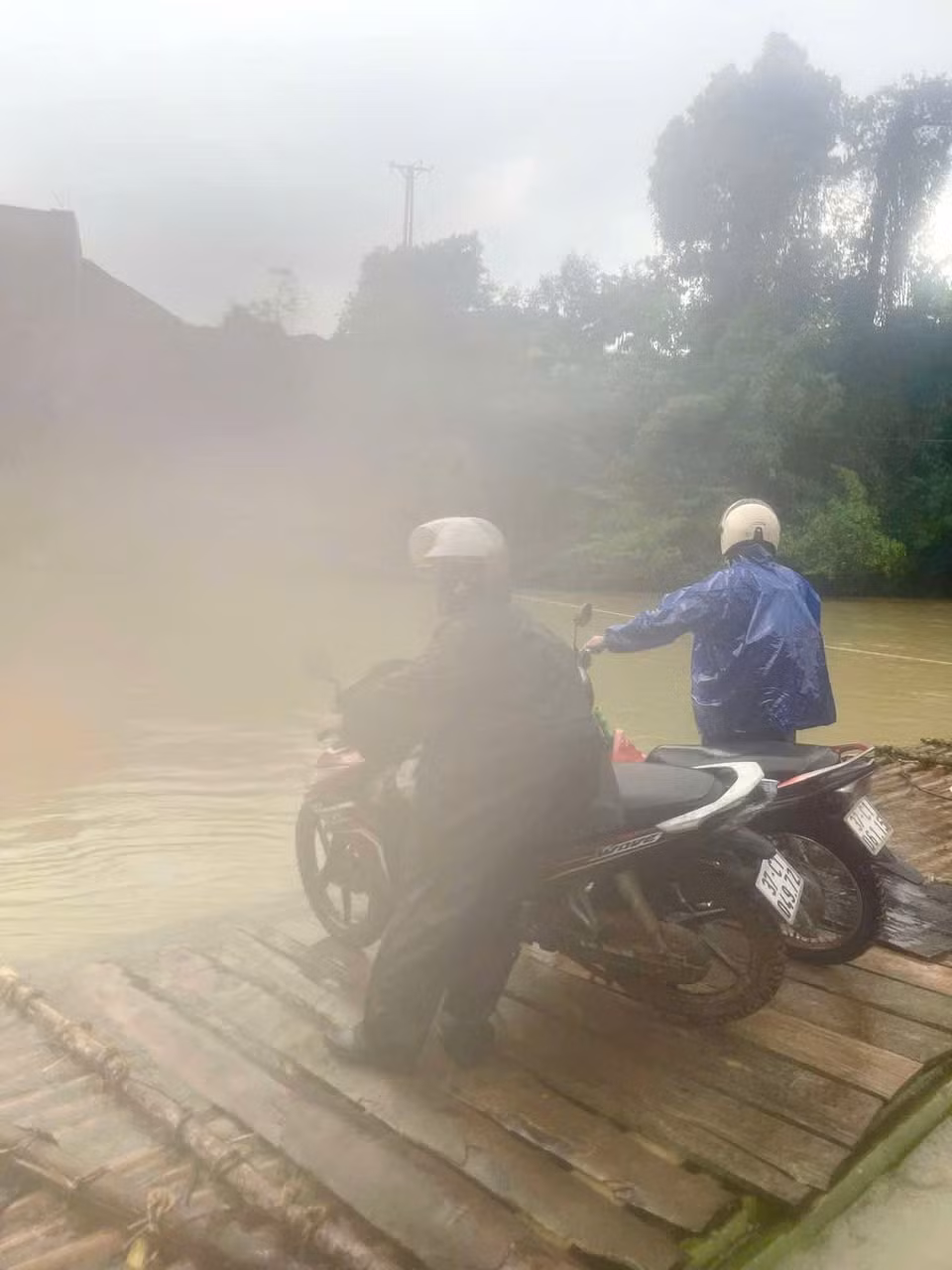 z6923008429223_34e90f61a514018954766108977fe993.jpg