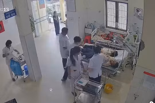 Đi làm nương, hai vợ chồng bị đàn ong đốt phải nhập viện cấp cứu