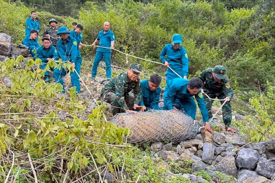 Tá hỏa phát hiện quả bom nặng 350 kg khi đào móng nhà