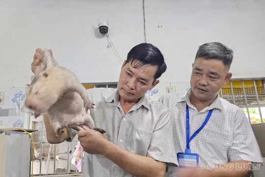 Lão nông làm giàu nhờ nuôi con “nhịn uống, ăn tiết kiệm”