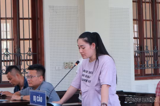 Thiếu phụ lừa giúp vay vốn ngân hàng, chiếm đoạt tiền tỷ
