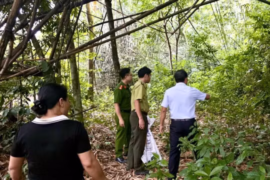 Người phụ nữ giao nộp trăn gấm quý hiếm, thả về rừng