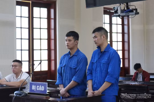 Chở người ngoại quốc nhập cảnh trái phép, hai tài xế vào tù