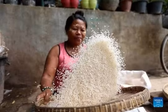 Gạo Myanmar lên giá cao nhất gần 2 năm vì khan hàng