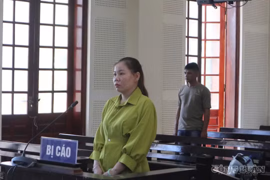 Buôn ma túy, mẹ đơn thân vào tù