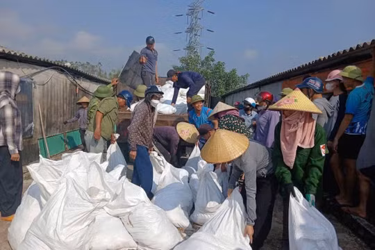 Gần 10.000 con gà chết ngạt, chủ trang trại chết lặng