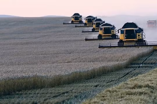 Giá lúa mì lên mức cao nhất trong ba năm khi căng thẳng Nga-Ukraine leo thang